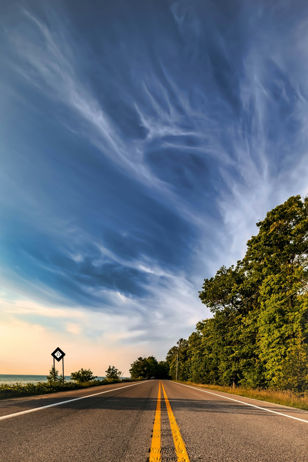 Photo by Impresso Studios green trees under blue sky during daytime